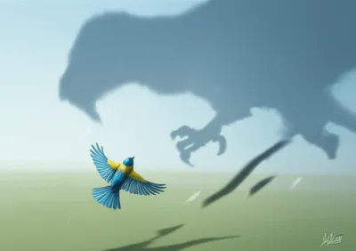 Illustration shrinking - Image 1