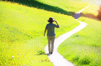 Illustration ramble - Image 1