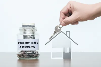 Illustration impound - Image 1