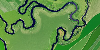 Hình ảnh minh họa meandering