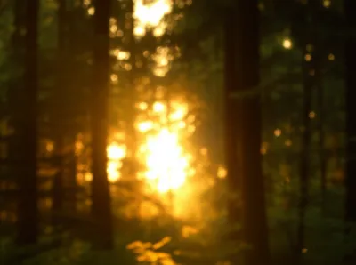 Illustration suffuse - Image 1