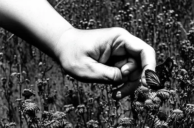 Illustration ruthlessly