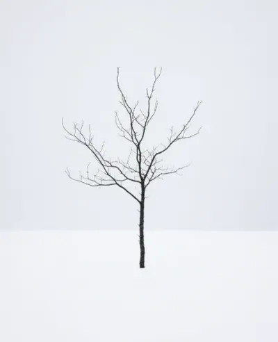 Illustration bare - Image 1