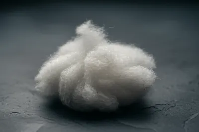 Illustration flocks - Image 1