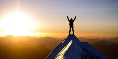 Illustration crest - Image 1