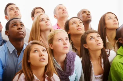 Illustration craned - Image 1