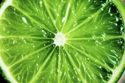 Illustration lime - Image 1