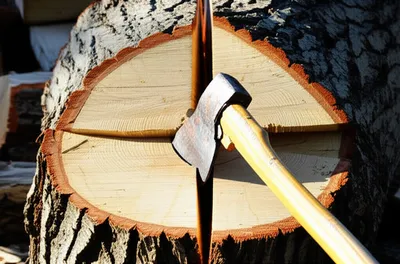 Illustration cleave - Image 1