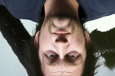 Illustration confronts - Image 1