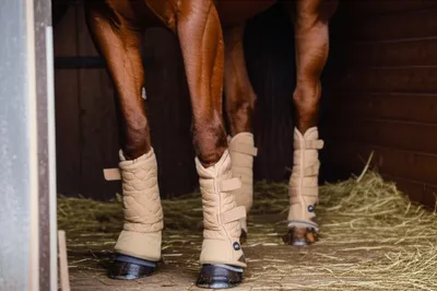 Illustration pads - Image 1