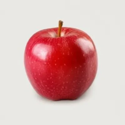 Illustration definition - Image 1