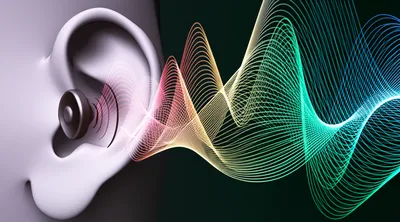 Illustration auditory