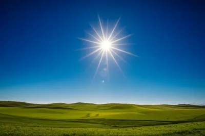 Illustration out - Image 1