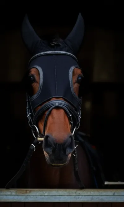 Illustration blinder - Image 1