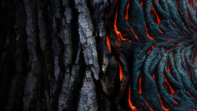 Illustration parallelism - Image 2