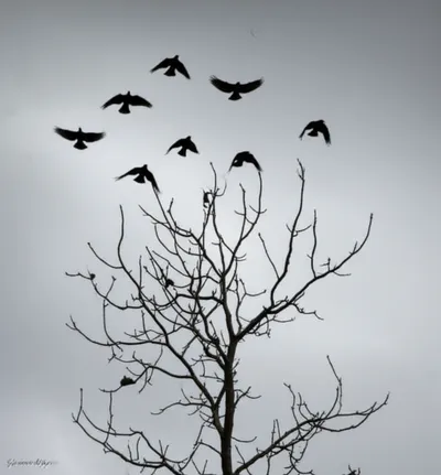 Illustration dispatching - Image 1