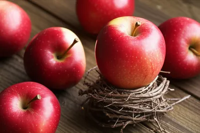 Illustration pick - Image 1