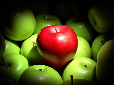 Illustration remarked - Image 1