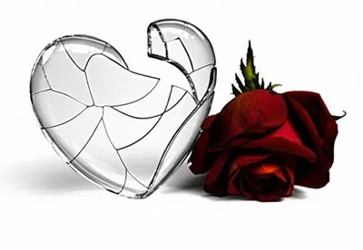 Illustration wounds - Image 1