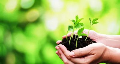 Illustration earthy - Image 1