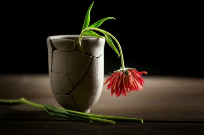 Illustration castrate - Image 1