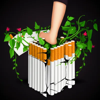 Illustration unlearn - Image 1