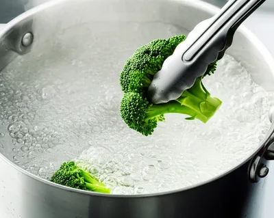 Illustration blanch - Image 1