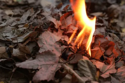 Illustration combustible