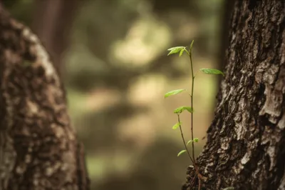 Illustration rid - Image 1