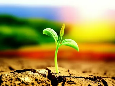 Illustration starting