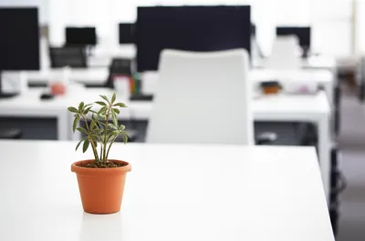 Illustration downsizing - Image 1