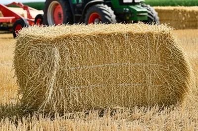 Illustration baling - Image 1