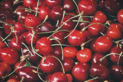 Illustration cherries - Image 2