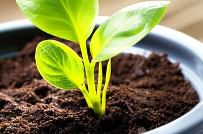 Illustration recovering - Image 1