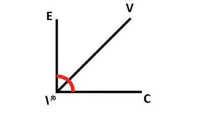Illustration acute - Image 1