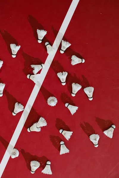 Illustration shuttlecock - Image 2