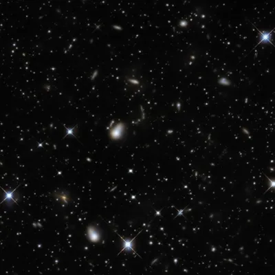 Illustration comae - Image 1