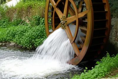 Illustration raze - Image 1