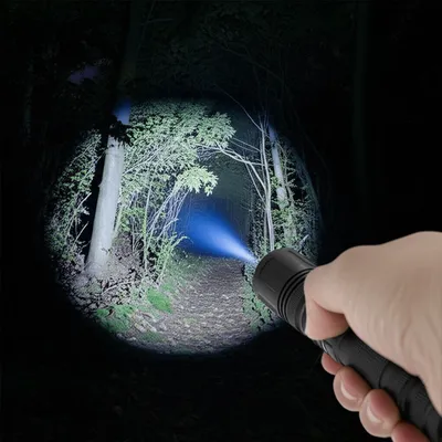 Illustration shone - Image 1