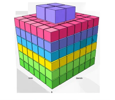 Illustration ranks - Image 1
