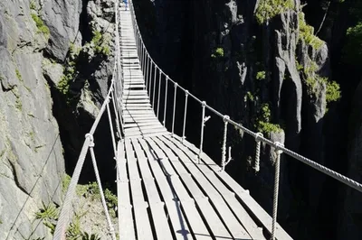 Illustration slackens - Image 1