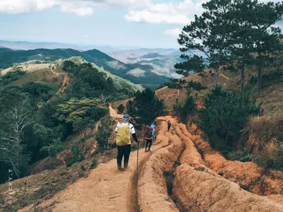 Illustration tramped - Image 2