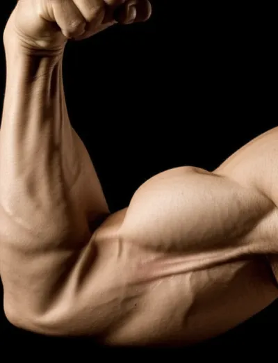 Illustration tails - Image 1