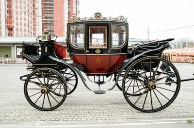 Illustration clarence