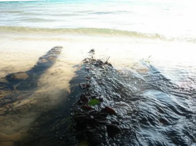 Illustration reversion - Image 1