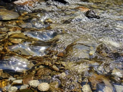 Illustration riffled - Image 1