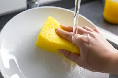 Illustration wash - Image 1