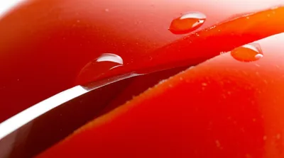 Illustration incisions - Image 1