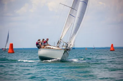 Illustration legs - Image 1