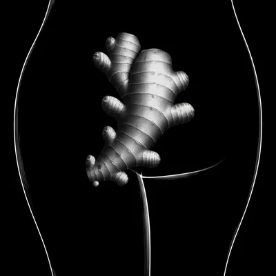 Illustration fig - Image 1